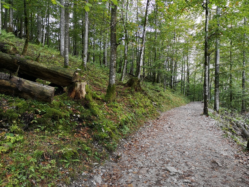 konigssee089 Konigssee-國王湖 好山好水好美麗...人間仙境不誇張