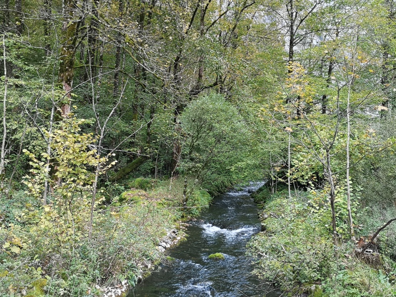 konigssee096 Konigssee-國王湖 好山好水好美麗...人間仙境不誇張