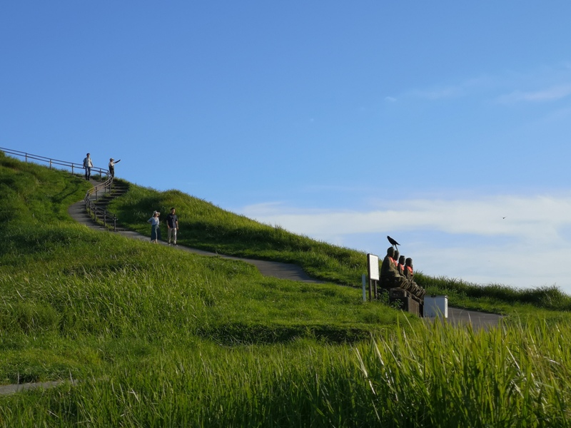 mtomuro00121 Izu-輕鬆愜意 與眾不同的火山口輕鬆逛 超美大室山
