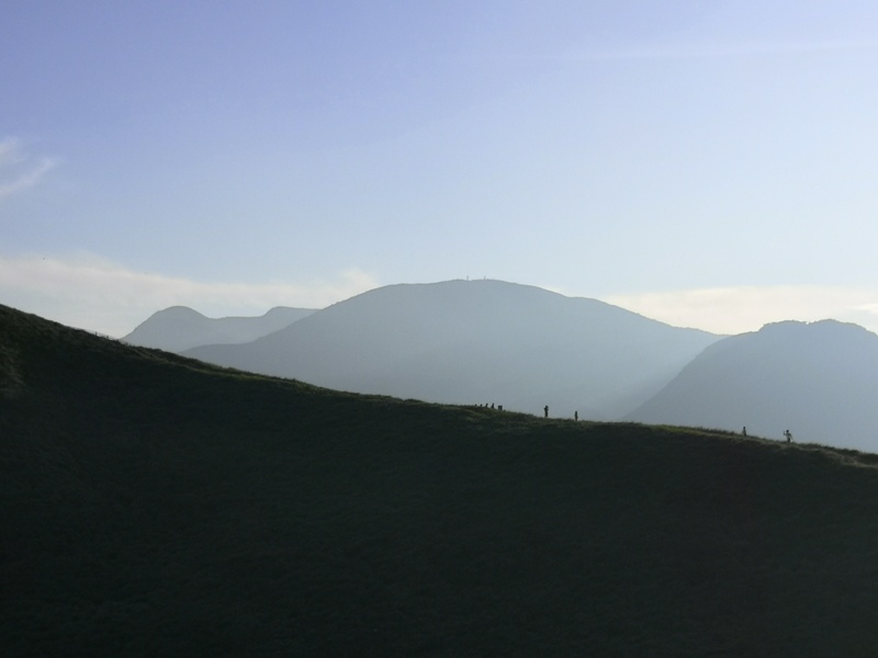 mtomuro00128 Izu-輕鬆愜意 與眾不同的火山口輕鬆逛 超美大室山