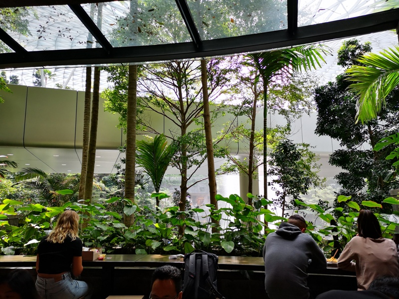 shakeshackchangi06 Singapore-星耀樟宜名店集結之Shake Shack 口味一樣獨道好吃