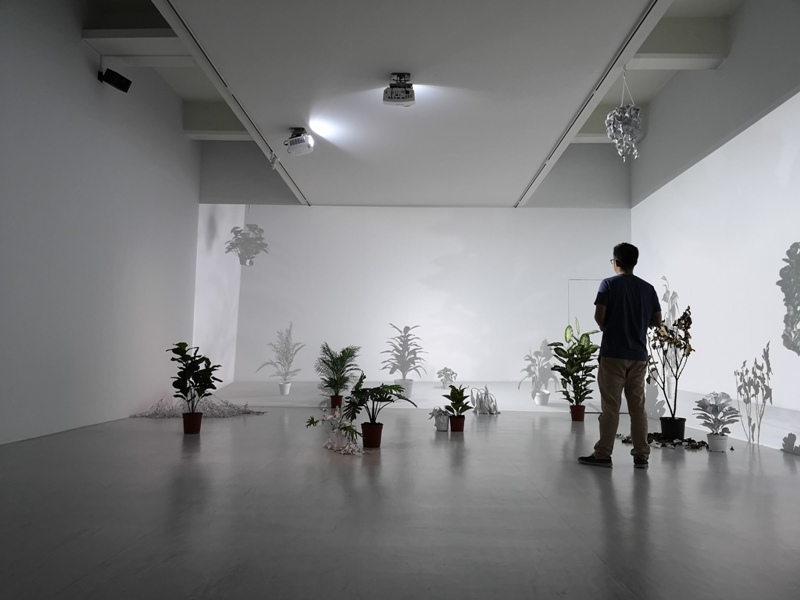 taipeifineartmesuem17 中山-北美館初訪 日本當代藝術大師池田亮司 視覺聽覺衝擊感官與心靈