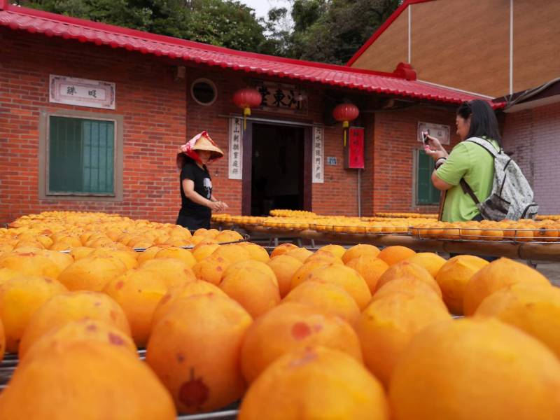 xinpu0103 新埔-味衛佳 北台灣秋天美麗的風景 好吃好玩好好拍的柿餅