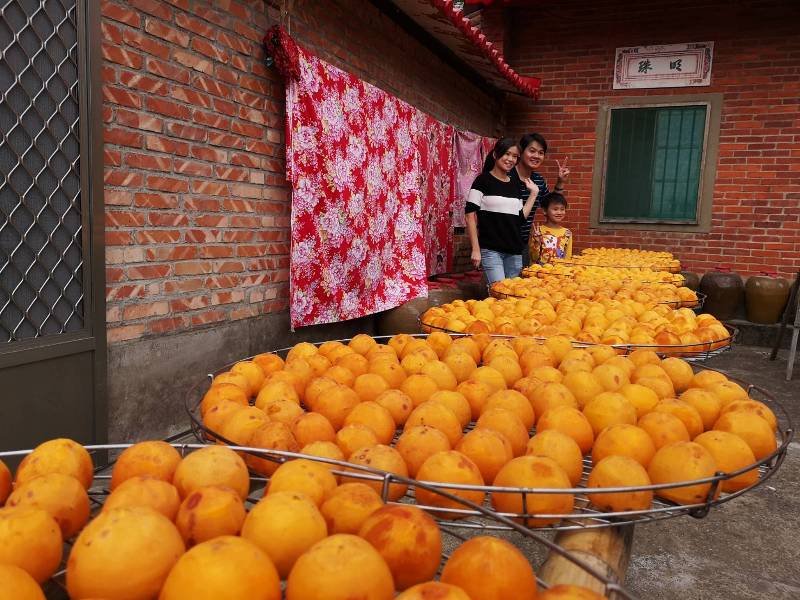 xinpu0105 新埔-味衛佳 北台灣秋天美麗的風景 好吃好玩好好拍的柿餅