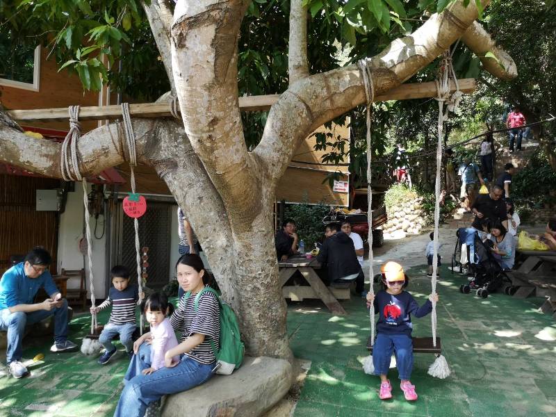 xinpu0108 新埔-味衛佳 北台灣秋天美麗的風景 好吃好玩好好拍的柿餅