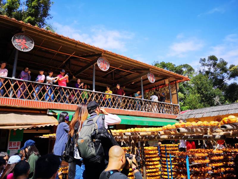 xinpu0109 新埔-味衛佳 北台灣秋天美麗的風景 好吃好玩好好拍的柿餅