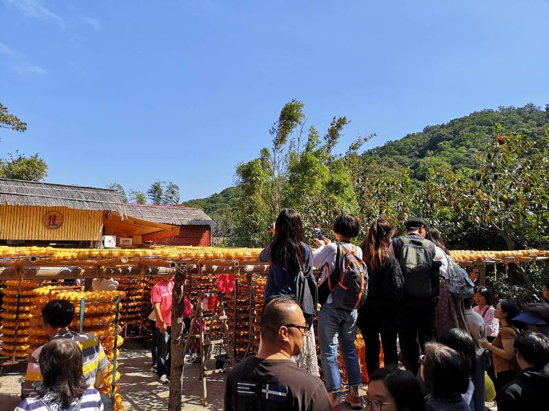 xinpu0110 新埔-味衛佳 北台灣秋天美麗的風景 好吃好玩好好拍的柿餅