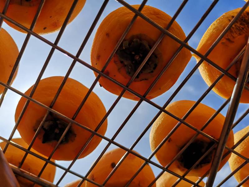 xinpu0115 新埔-味衛佳 北台灣秋天美麗的風景 好吃好玩好好拍的柿餅