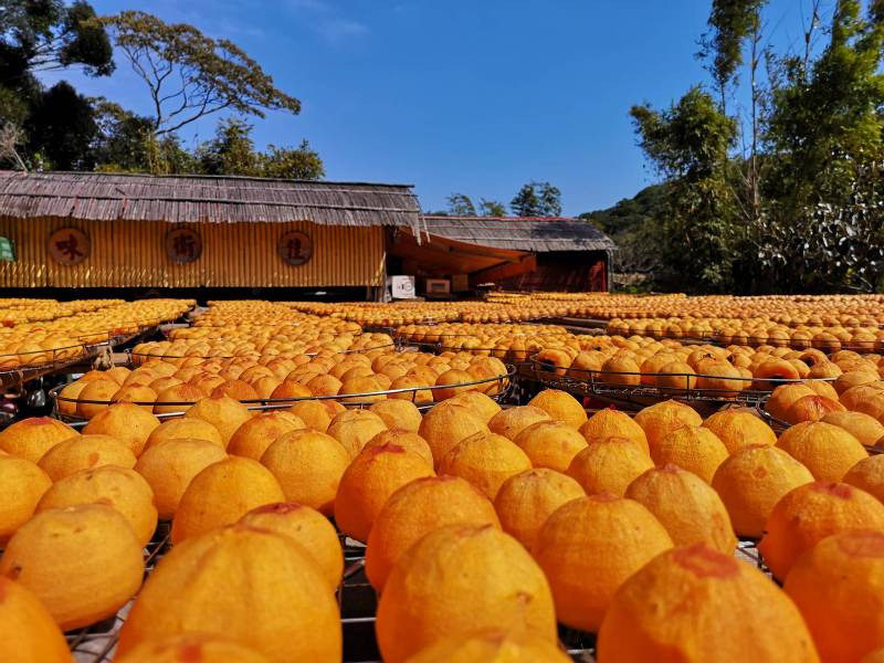 xinpu0118 新埔-味衛佳 北台灣秋天美麗的風景 好吃好玩好好拍的柿餅