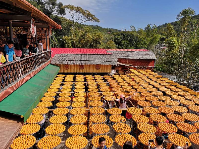 xinpu0119 新埔-味衛佳 北台灣秋天美麗的風景 好吃好玩好好拍的柿餅