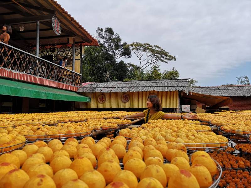 xinpu0120 新埔-味衛佳 北台灣秋天美麗的風景 好吃好玩好好拍的柿餅