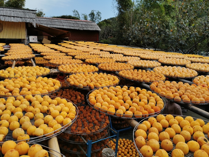 xinpu0123 新埔-味衛佳 北台灣秋天美麗的風景 好吃好玩好好拍的柿餅