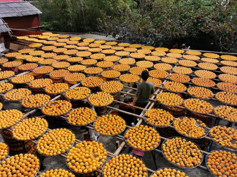 xinpu0124 新埔-味衛佳 北台灣秋天美麗的風景 好吃好玩好好拍的柿餅