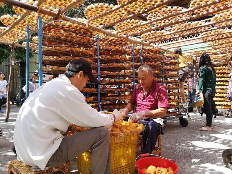 xinpu0128 新埔-味衛佳 北台灣秋天美麗的風景 好吃好玩好好拍的柿餅
