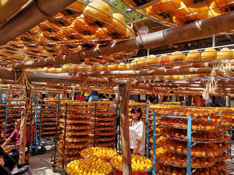 xinpu0129 新埔-味衛佳 北台灣秋天美麗的風景 好吃好玩好好拍的柿餅