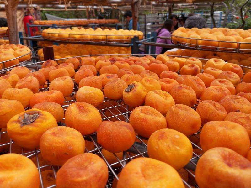 xinpu0130 新埔-味衛佳 北台灣秋天美麗的風景 好吃好玩好好拍的柿餅