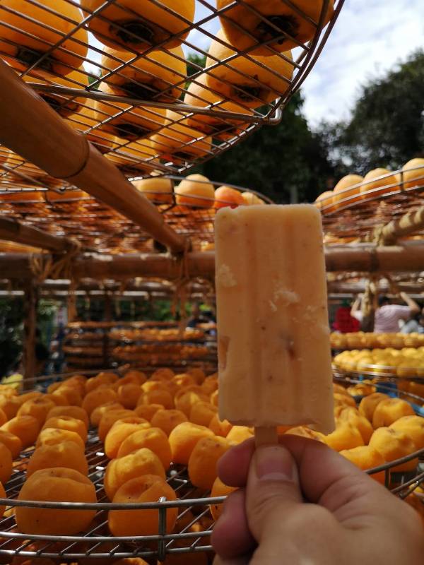 xinpu0132 新埔-味衛佳 北台灣秋天美麗的風景 好吃好玩好好拍的柿餅