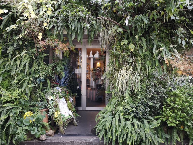 Minami Aoyama-風花 南青山小巷內綠意盎然 嵐 迷哥迷姐咖啡館