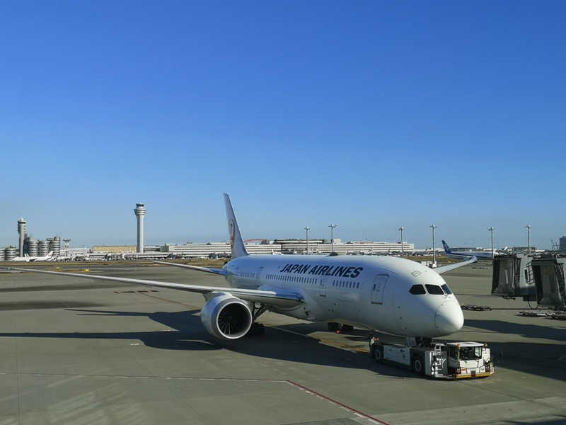 flyingnrt07 201912松山羽田成田桃園 年末東京小出差