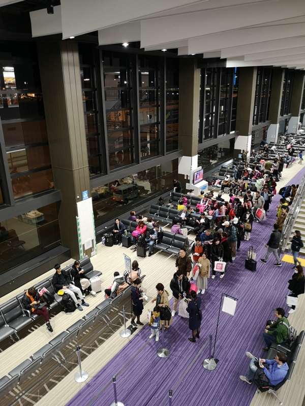 flyingnrt13 201912松山羽田成田桃園 年末東京小出差