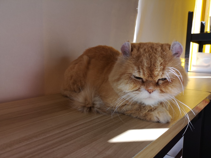 qinmi10 八德-咖啡沁蜜 不經意發現的咖啡好店