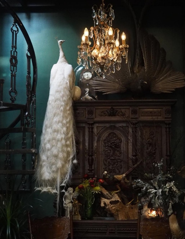 Hatiencafe14 Bangkok-Ha Tien Cafe曼谷臥佛寺旁 復古華麗的咖啡館