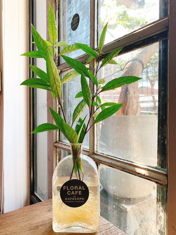 floralcafebkk170102 Bangkok-Floral Cafe at Napasorn曼谷花市旁滿滿花香古物的咖啡館