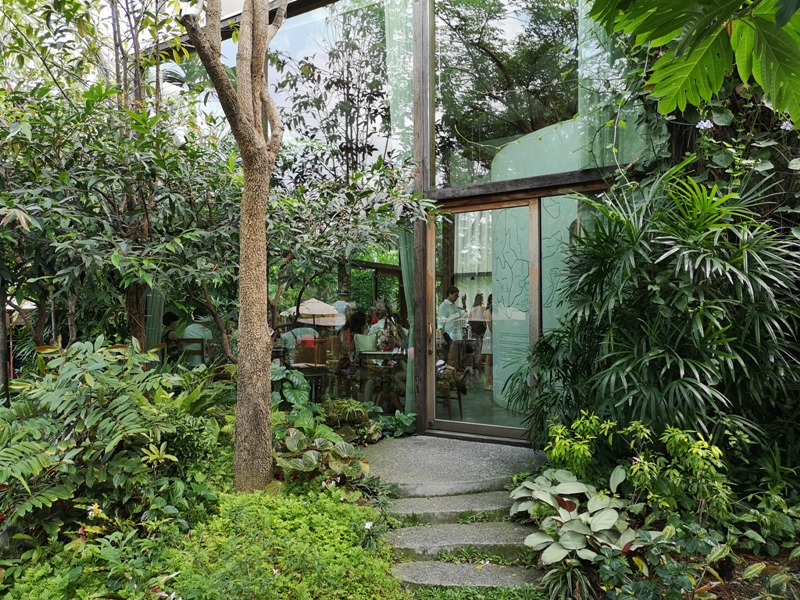 patomliving21 Bangkok-鬧區中小森林Patom Organic Living玻璃屋吸睛好拍 假日市集熱鬧好逛