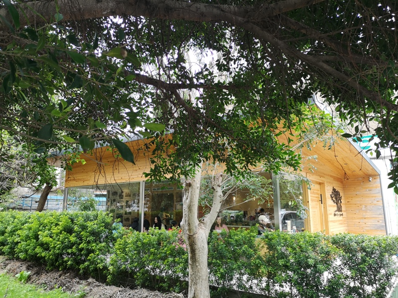 zhaicoffee03 竹北-宅咖啡過日子 滿室綠意玻璃屋概念