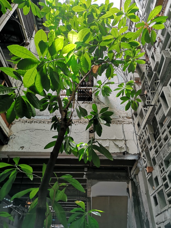 leafco15 Kuala Lumpur-Leaf & Co. Cafe老屋風情 茨廠街旁老屋咖啡