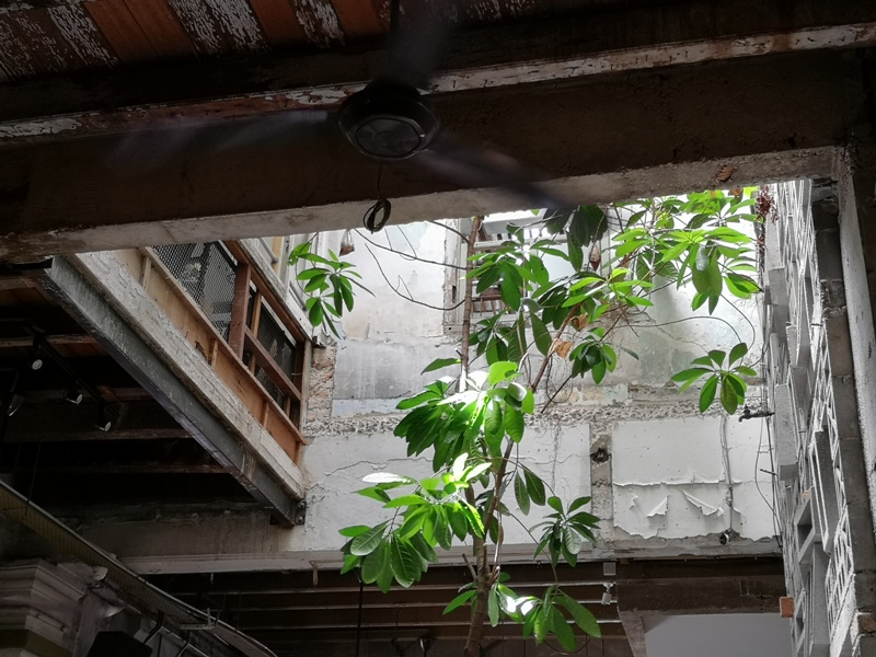 leafco16 Kuala Lumpur-Leaf & Co. Cafe老屋風情 茨廠街旁老屋咖啡