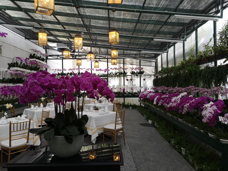 majestickl33 Kuala Lumpur-Majestic Hotel古典雅致 百年建築的的內涵 吉隆坡大華酒店