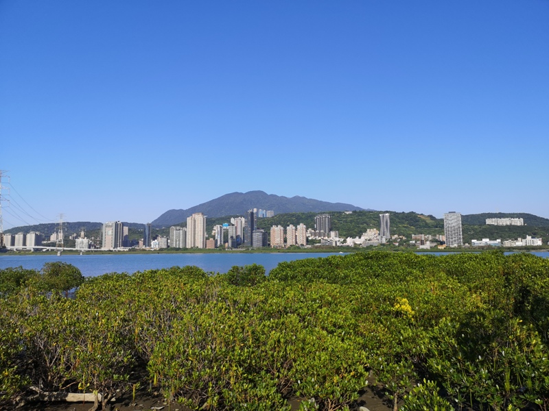 mamamouth02 八里-媽媽嘴咖啤 藍天綠意紅樹林 最有話題的咖啡館