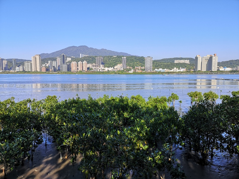 mamamouth16 八里-媽媽嘴咖啤 藍天綠意紅樹林 最有話題的咖啡館