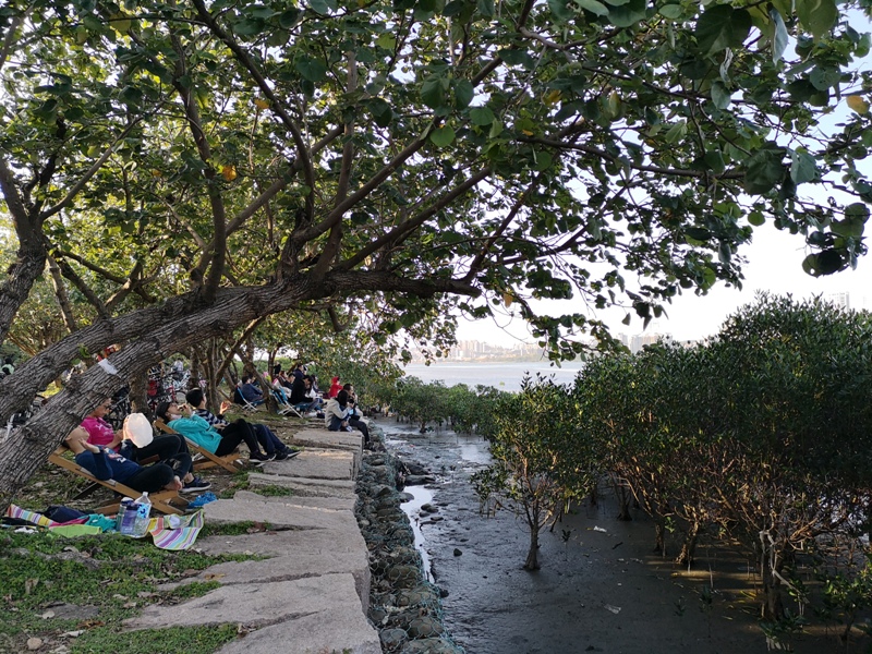 mamamouth18 八里-媽媽嘴咖啤 藍天綠意紅樹林 最有話題的咖啡館