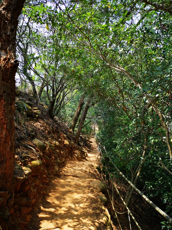 firemountain12 三義-火炎山 迷你大峽谷 感受大自然鬼斧奇怪