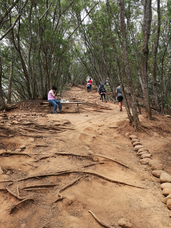 firemountain17 三義-火炎山 迷你大峽谷 感受大自然鬼斧奇怪