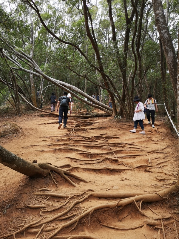 firemountain23 三義-火炎山 迷你大峽谷 感受大自然鬼斧奇怪