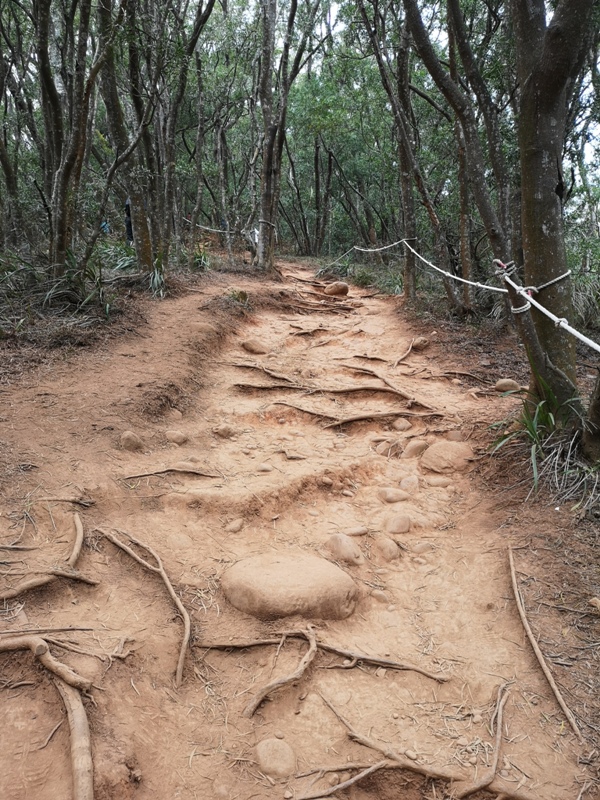 firemountain24 三義-火炎山 迷你大峽谷 感受大自然鬼斧奇怪