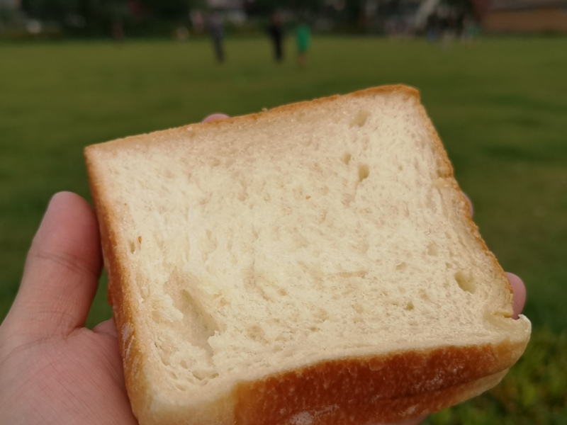 mpain8 中壢-M Pain Boulangerie & Patisserie老宅飄散藍帶麵包香