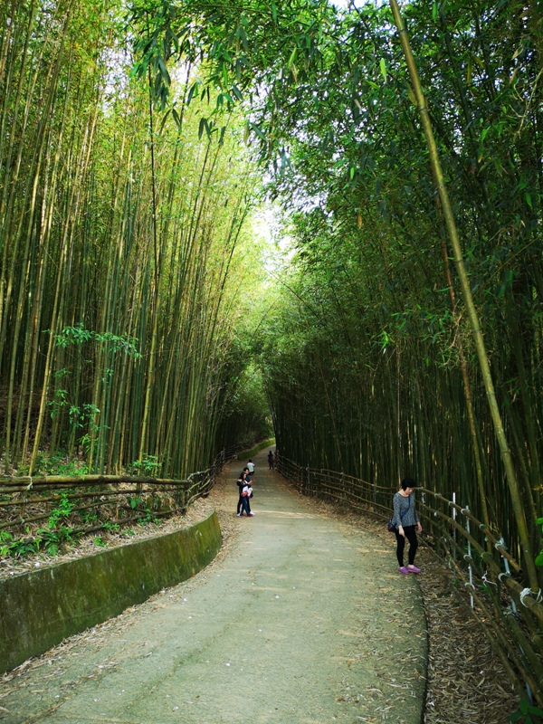 wugayen02 泰安-烏嘎彥竹林 台版嵐山竹林秘境