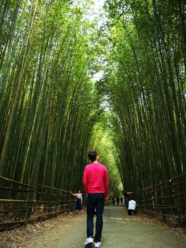 wugayen14 泰安-烏嘎彥竹林 台版嵐山竹林秘境