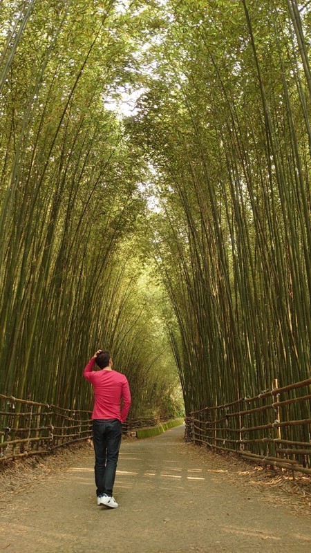 wugayen17 泰安-烏嘎彥竹林 台版嵐山竹林秘境