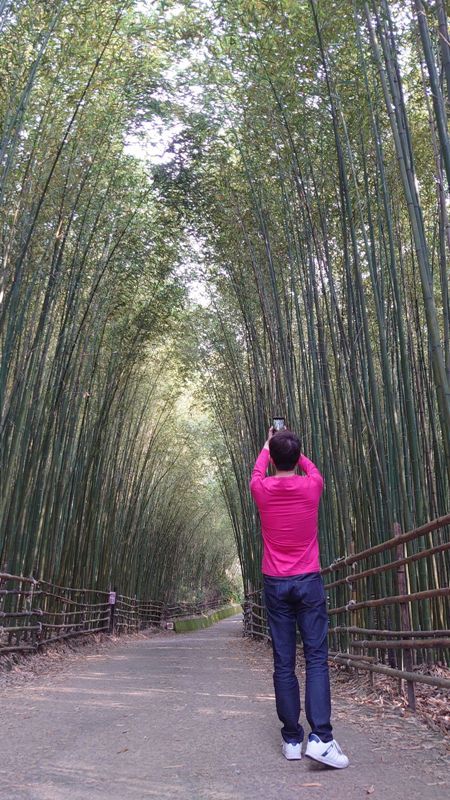 wugayen18 泰安-烏嘎彥竹林 台版嵐山竹林秘境