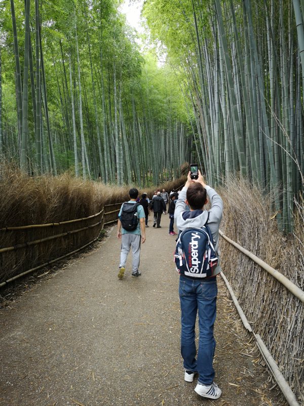 wugayen19 泰安-烏嘎彥竹林 台版嵐山竹林秘境