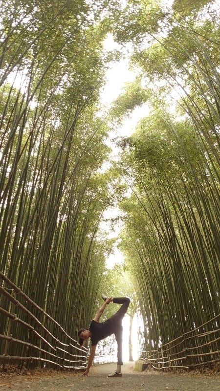 wugayen23 泰安-烏嘎彥竹林 台版嵐山竹林秘境