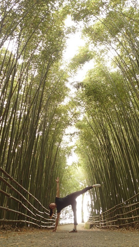 wugayen24 泰安-烏嘎彥竹林 台版嵐山竹林秘境