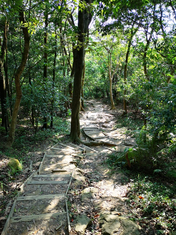 goldenfacemt08 內湖-金面山 華山論劍剪刀石 大石壁輕鬆有趣