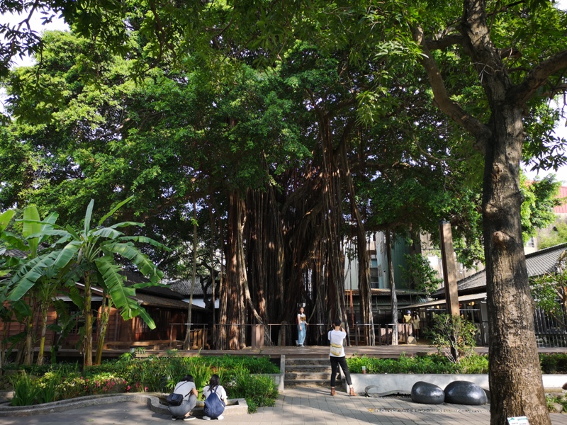 literature02 台中-文學館/州廳/市役所/Cafe 1911 日式風情半日遊