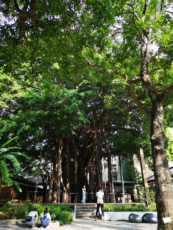 literature03 台中-文學館/州廳/市役所/Cafe 1911 日式風情半日遊